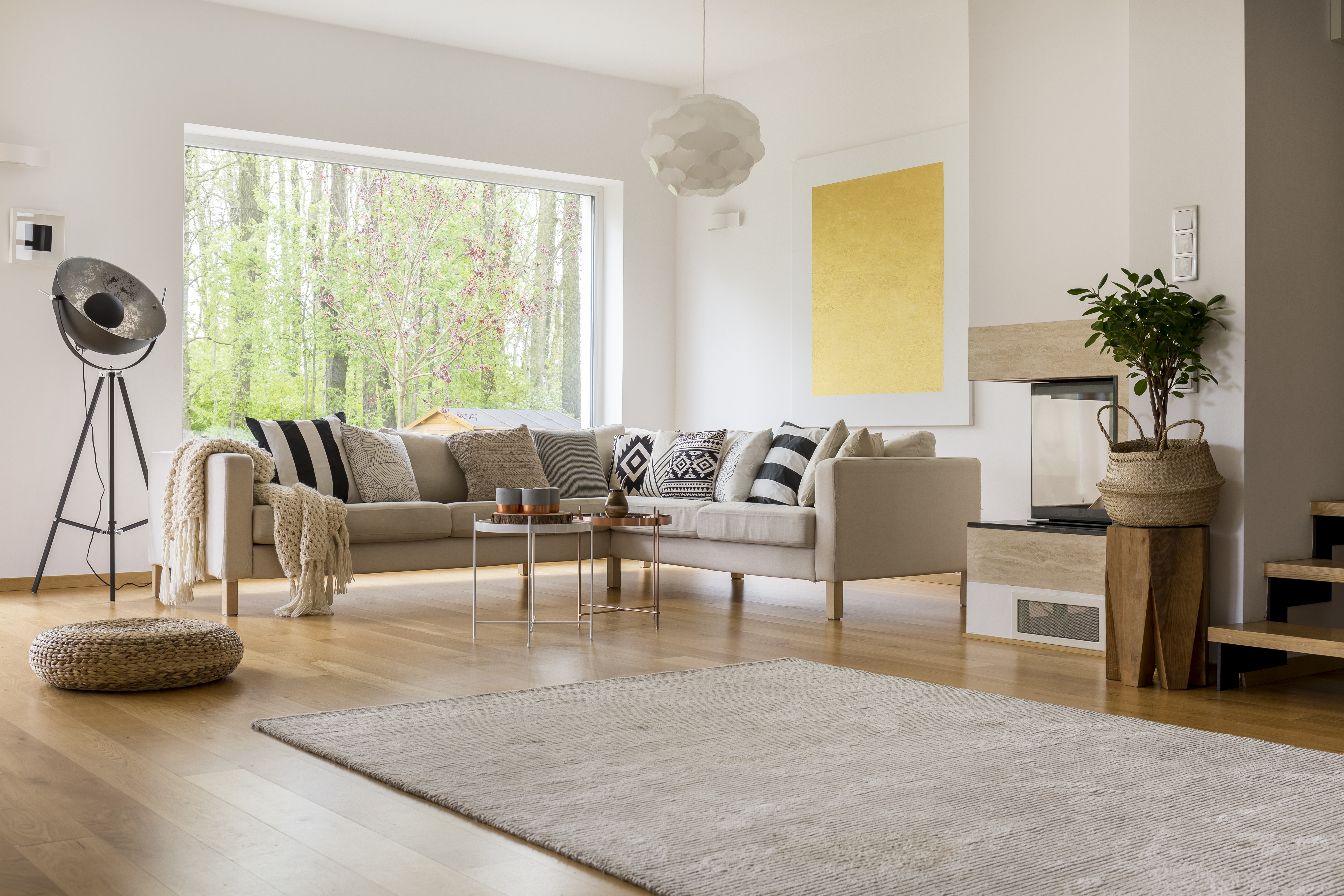 Living room survey capture preview